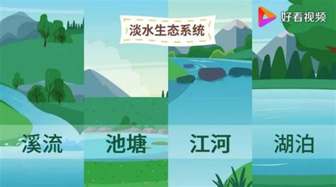 河流上游特徵|溪流水域生態環境